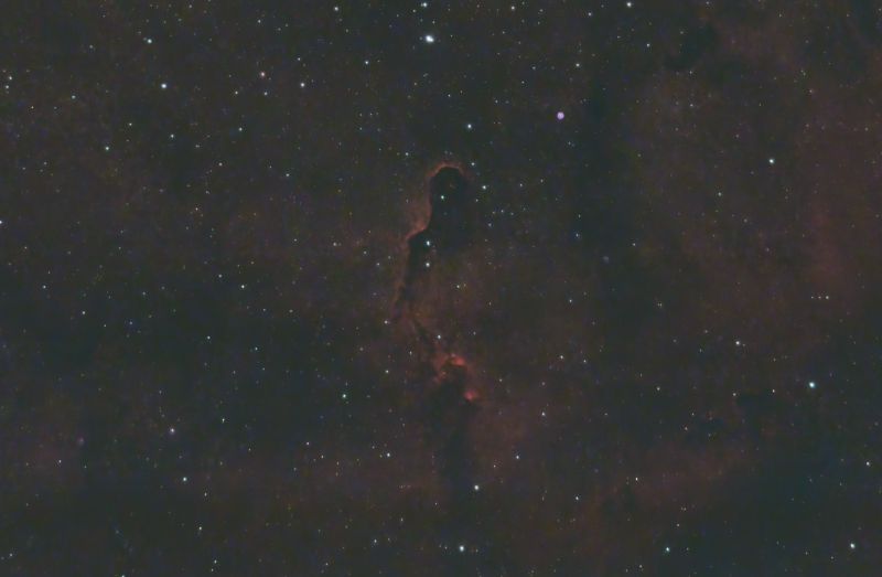 IC 1396 Elephant Trunk Nebula