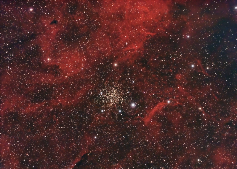 IC 1311