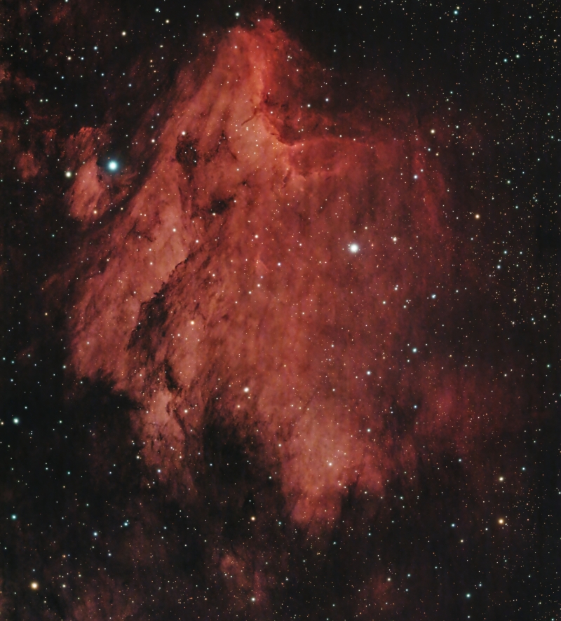 IC5070 Pelican Nebula