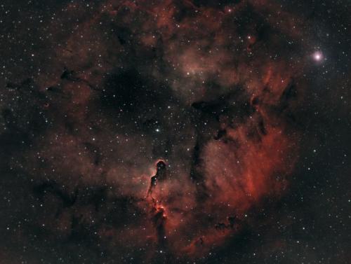 IC 1396 Elephant Trunk Nebula